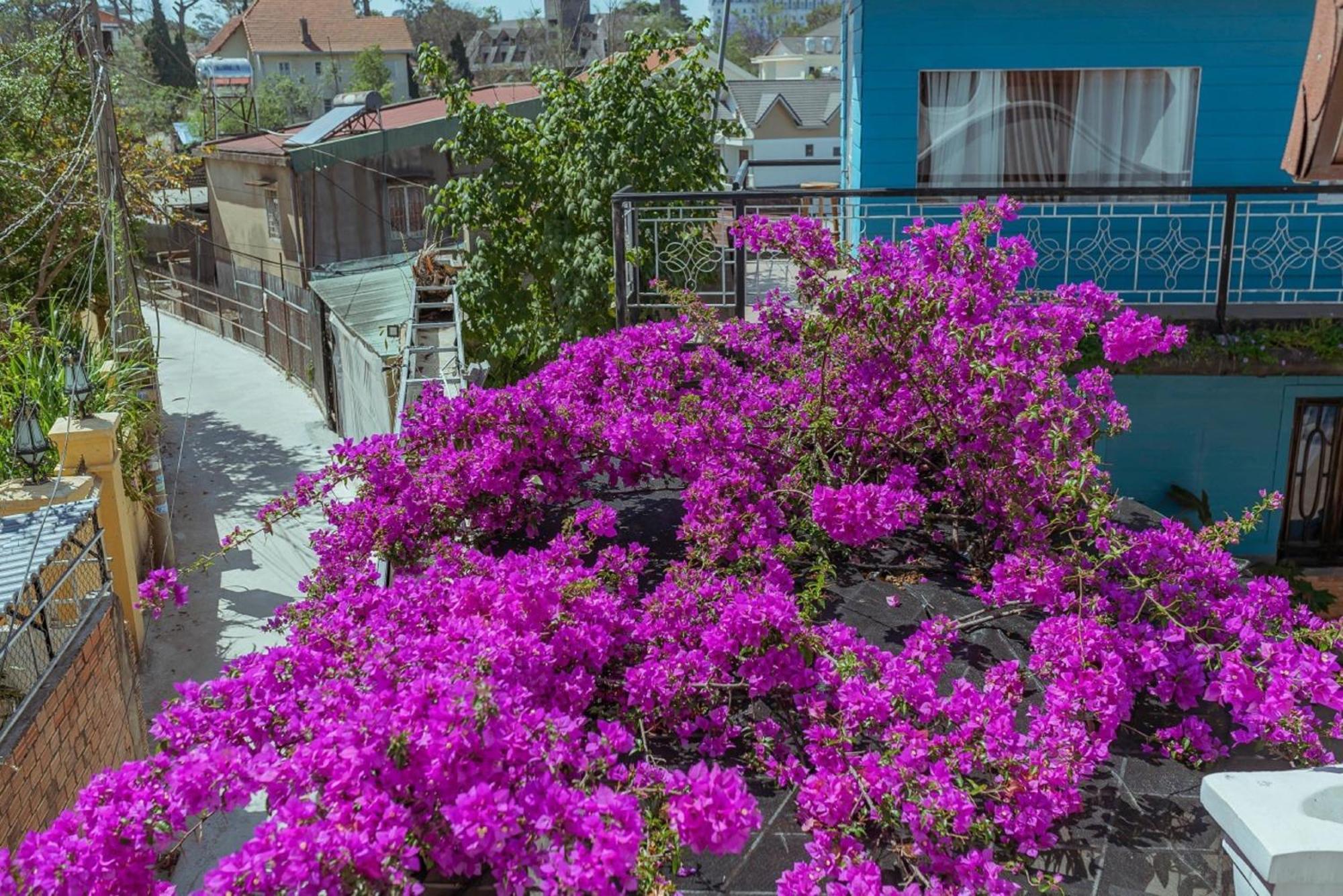 Mhome Da Lat Esterno foto
